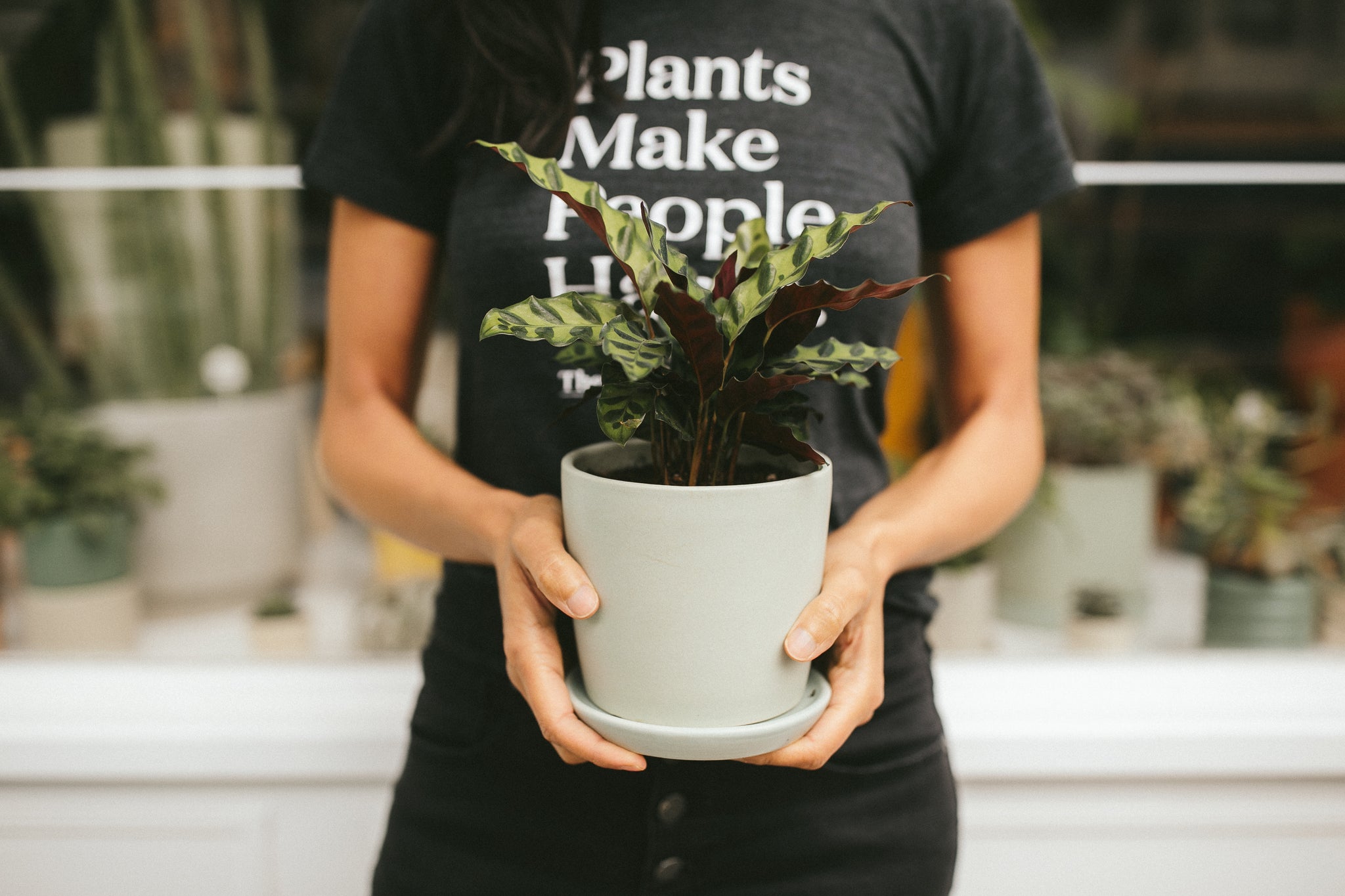 Tips & Tricks for a Successful Plant Propagation