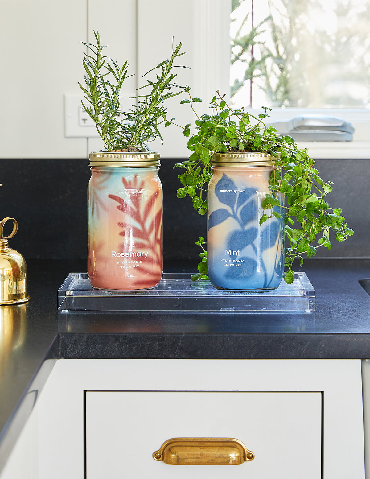 Garden Jar Duo, Mint + Rosemary