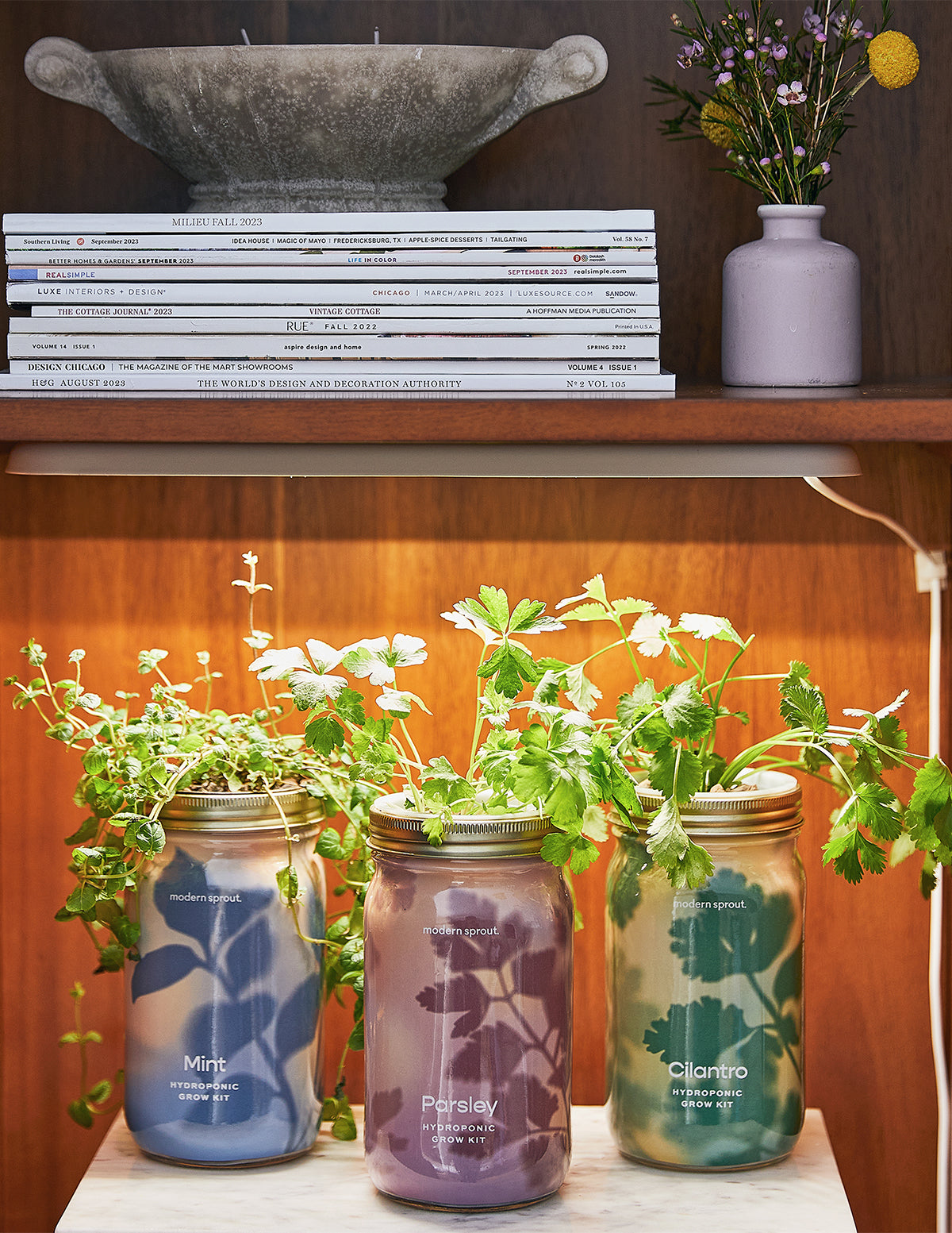 Garden Jar Duo, Basil + Parsley