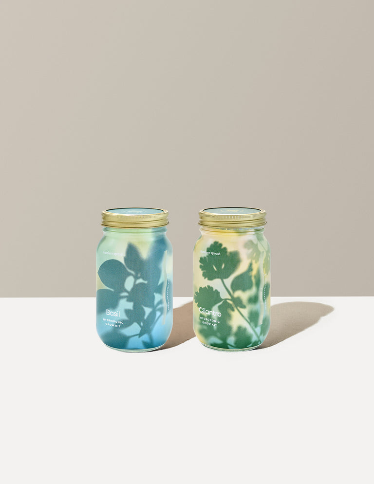 Garden Jar Duo, Basil + Cilantro