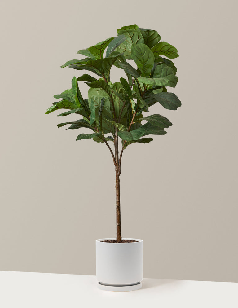 Faux Fiddle Leaf Fig Tree