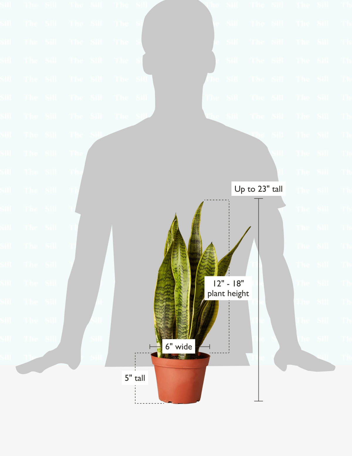 size-guide