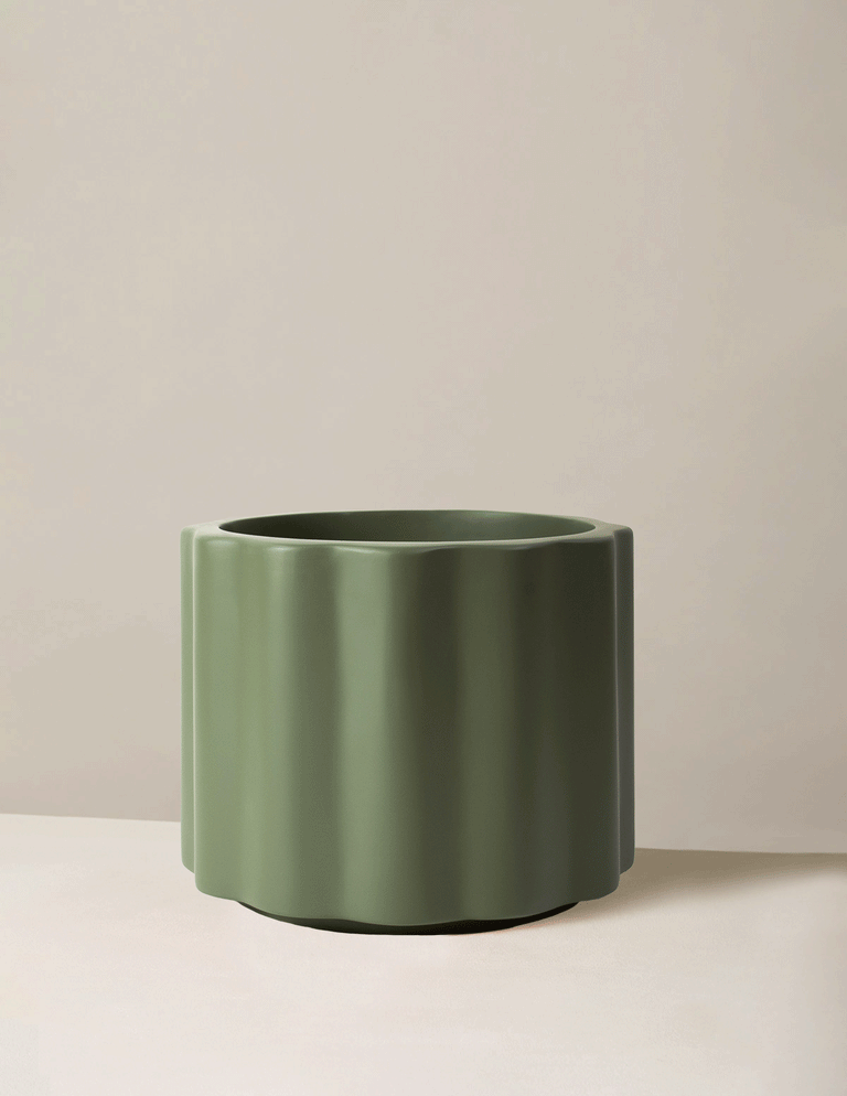 Large Balboa Planter