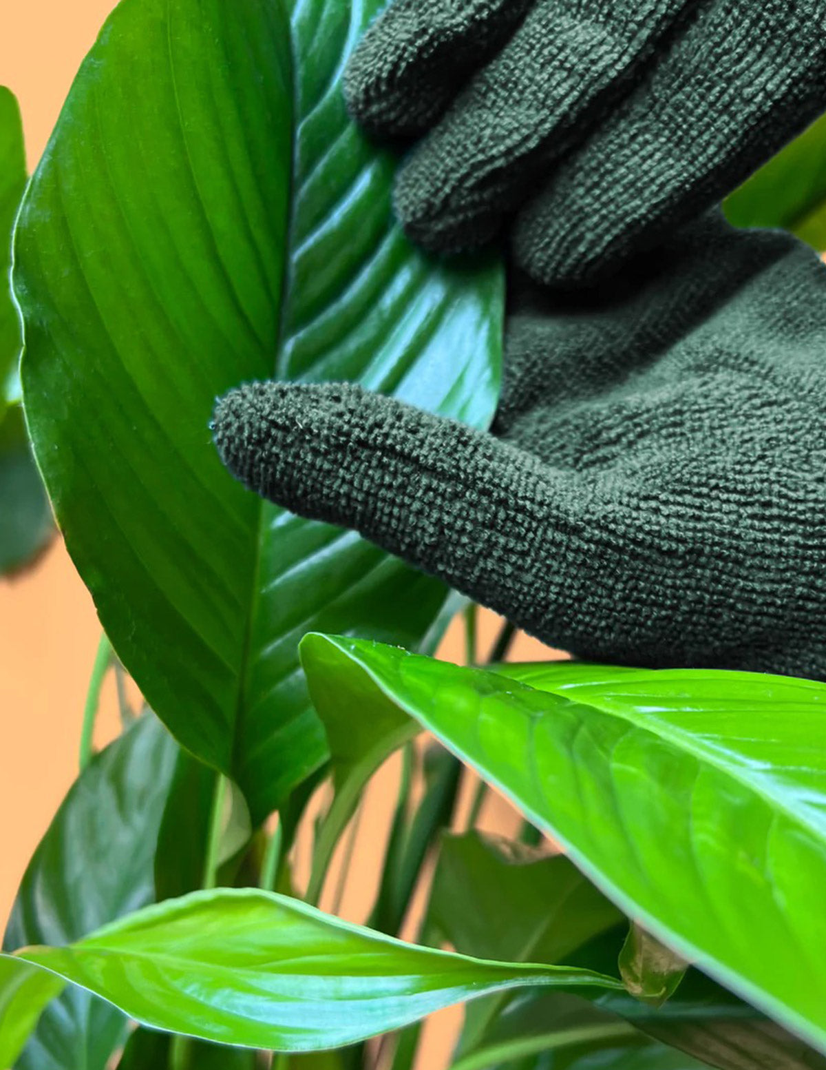 Leaf Cleaning Gloves