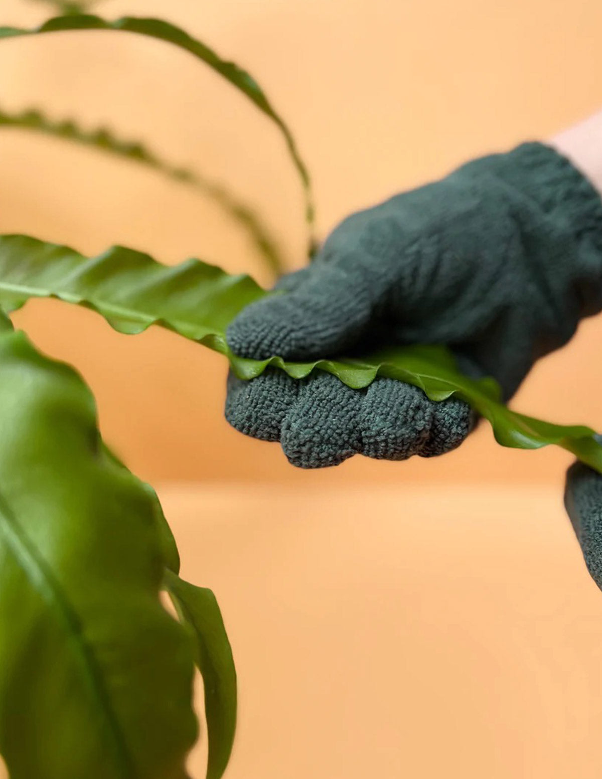 Leaf Cleaning Gloves