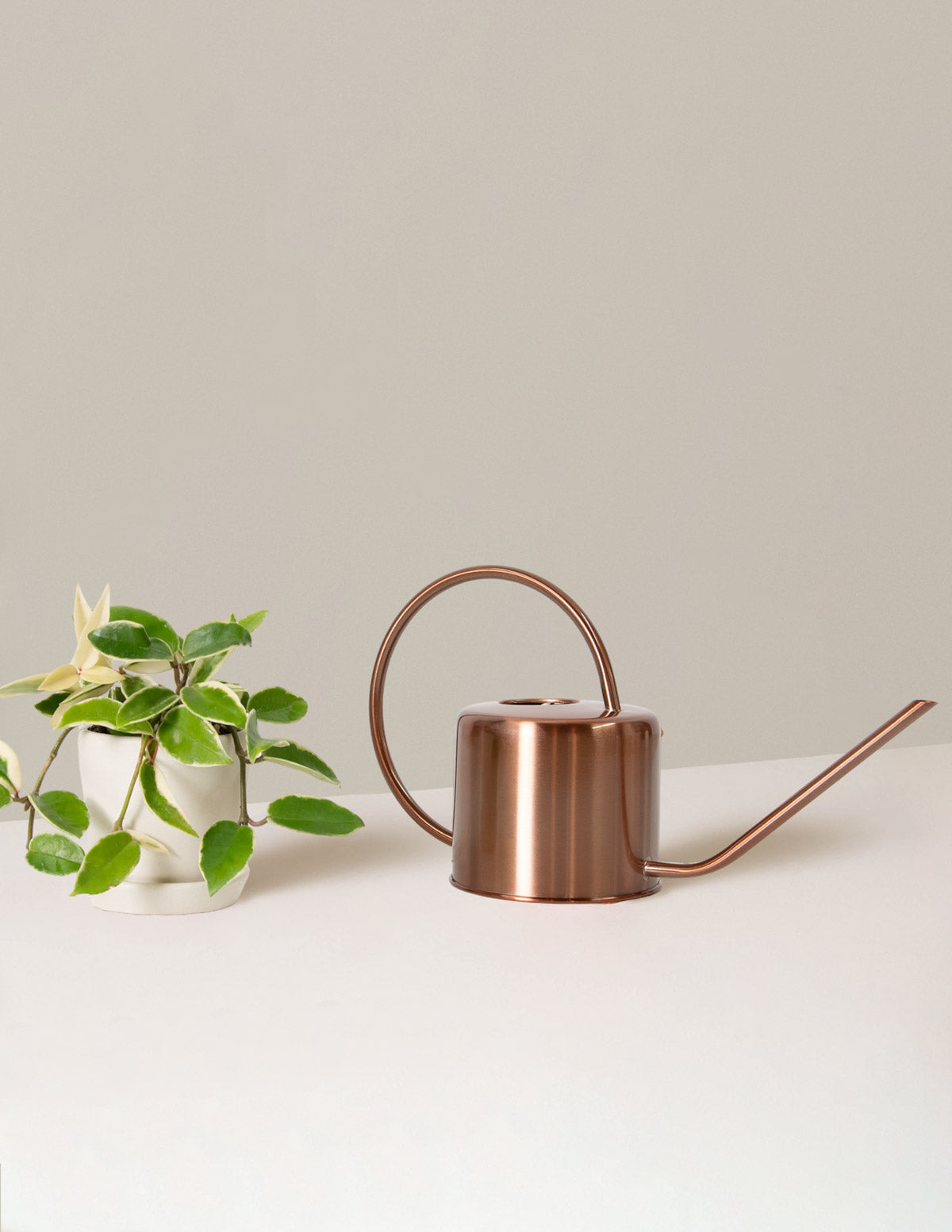 Metal Watering Can