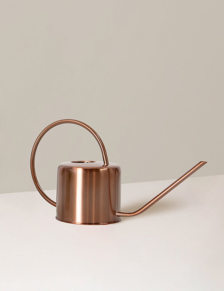 Metal Watering Can