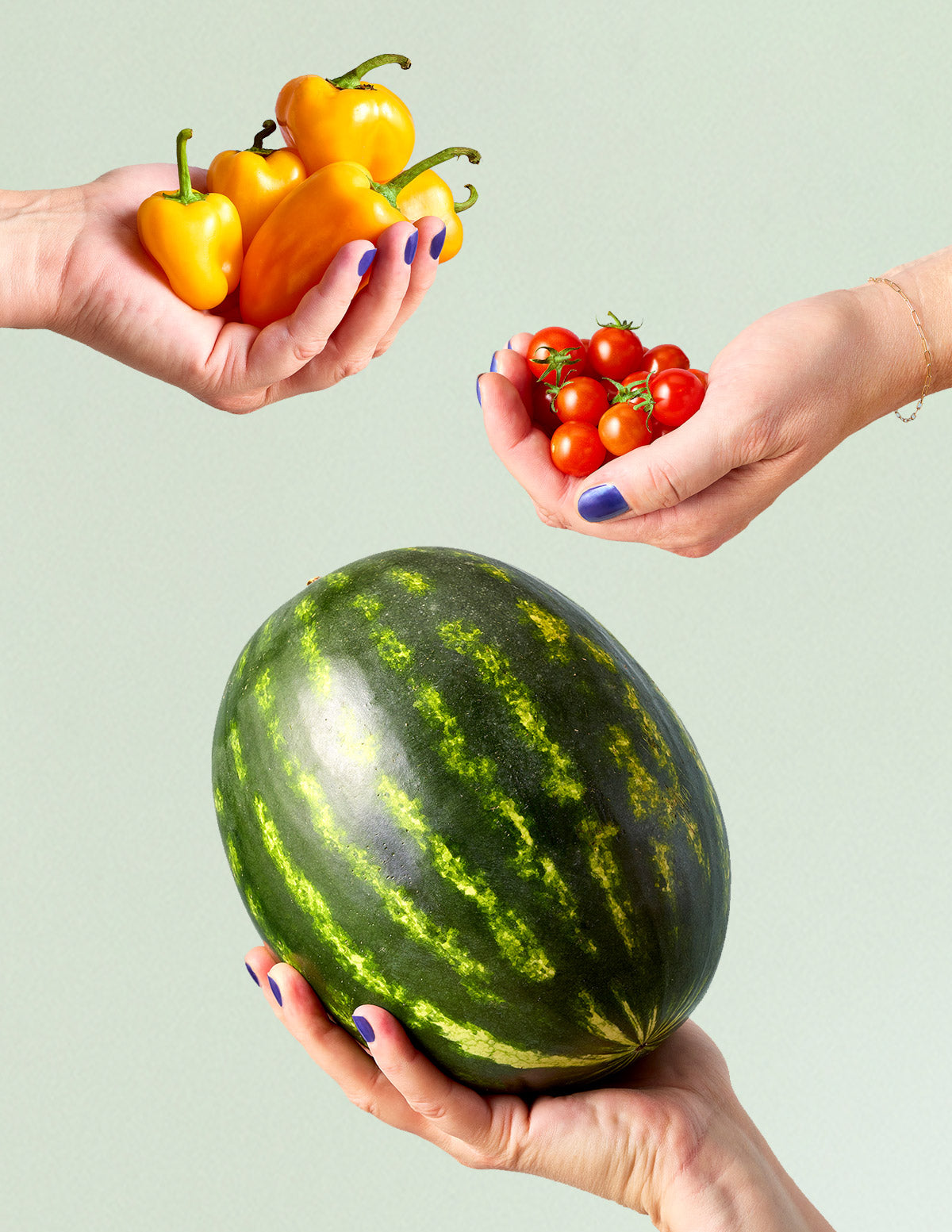 Tiny Terracotta Fruit & Veggie Trio