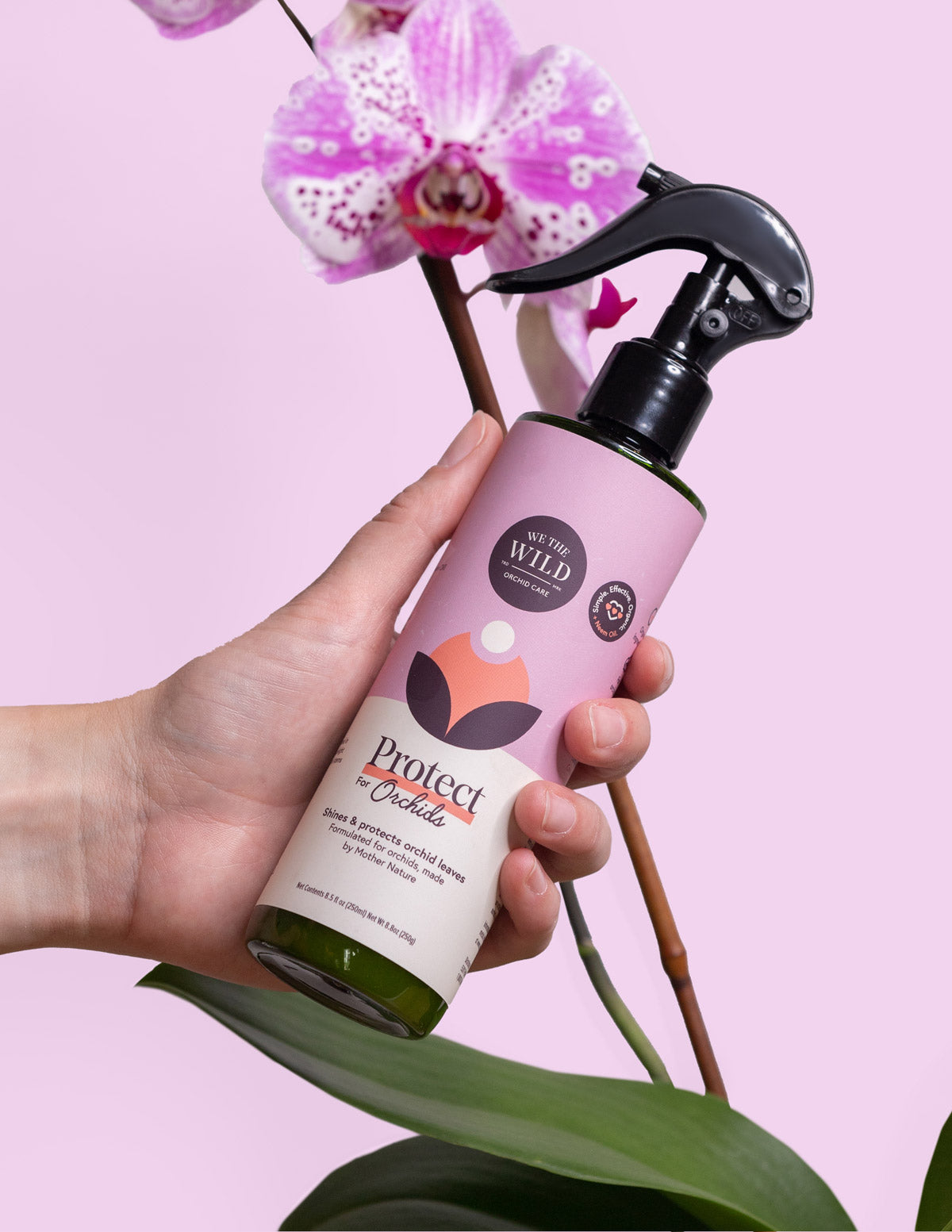 Orchid Care Duo