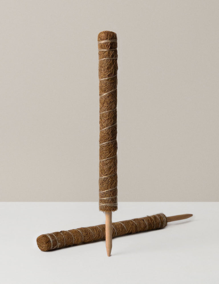 Coco Coir Pole